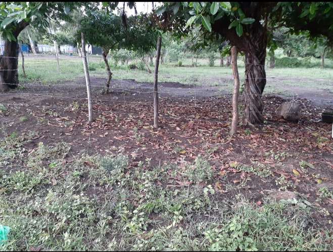 Terreno 10x30 - Imagen 10