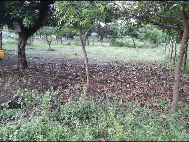 Terreno 10x30 - Imagen 3