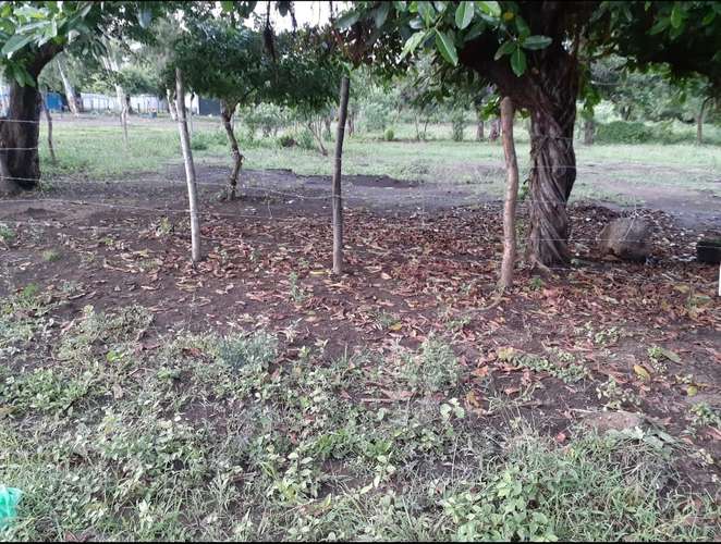 Terreno 10x30 - Imagen 4