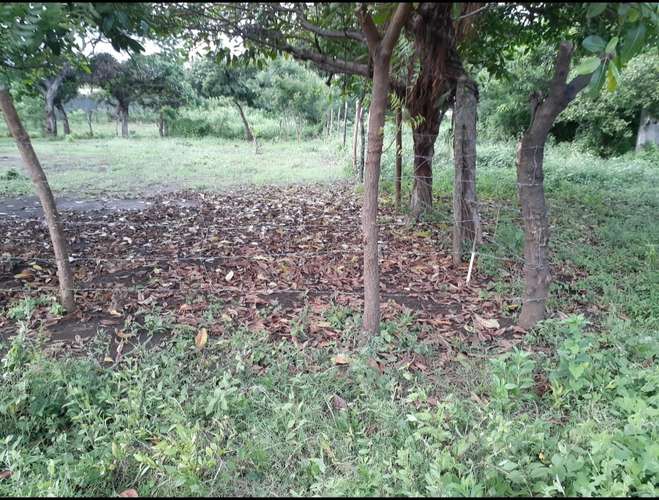 Terreno 10x30 - Imagen 2