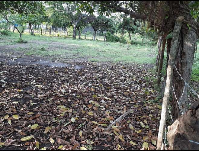 Terreno 10x30 - Imagen 8