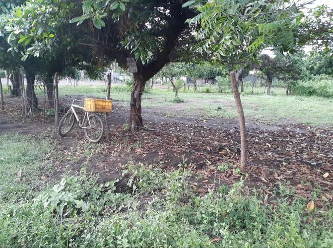 Terreno 10x30 - Imagen 5