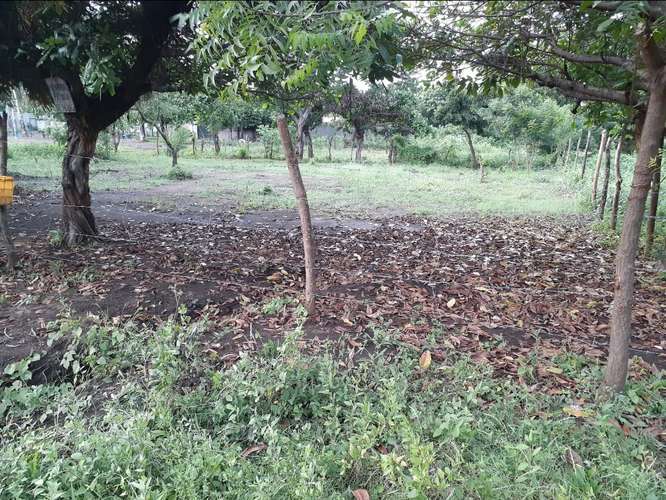 Terreno 10x30 - Imagen 9