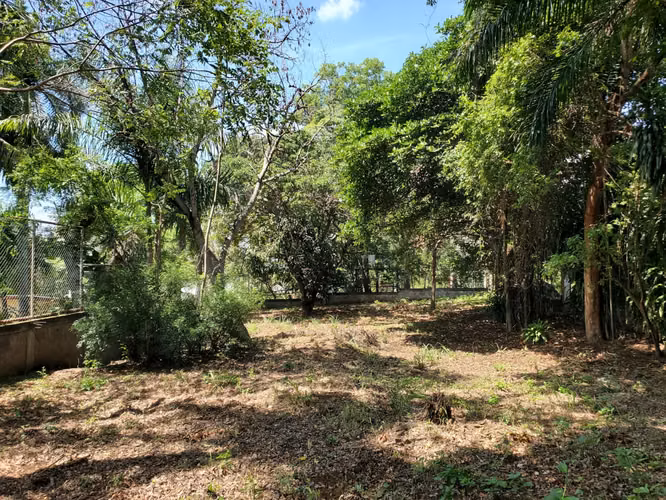 NO-Se vende terreno en Carretera Masaya km 16.8 - Imagen 3