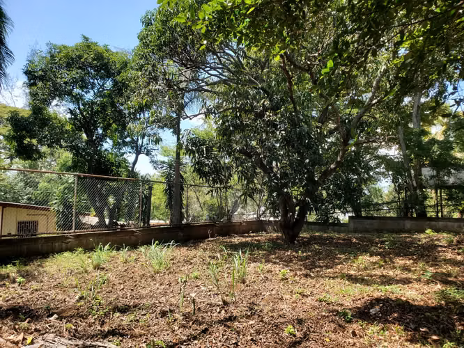 NO-Se vende terreno en Carretera Masaya km 16.8 - Imagen 8