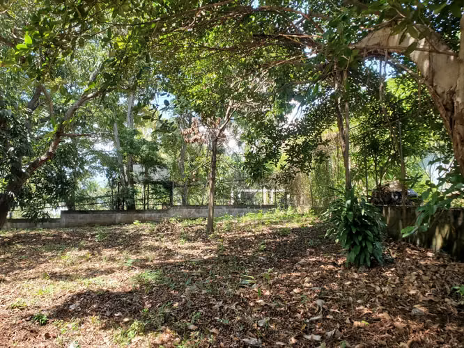 NO-Se vende terreno en Carretera Masaya km 16.8 - Imagen 11