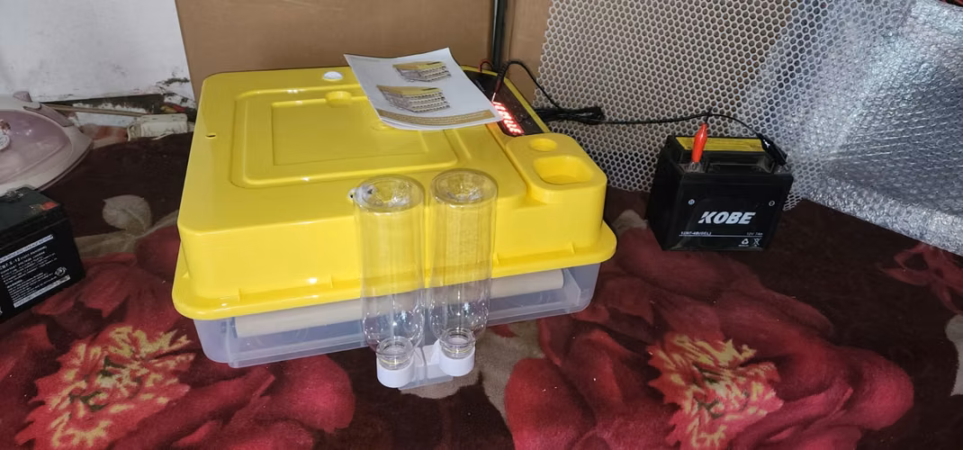 incubadoras automáticas de 24 huevos para baterías 12v - Imagen 5