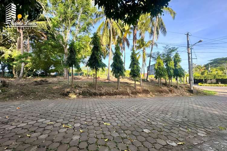  Terreno en Venta sobre Carretera Vieja a León - MG - Imagen 10