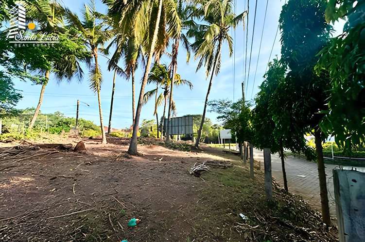  Terreno en Venta sobre Carretera Vieja a León - MG - Imagen 8