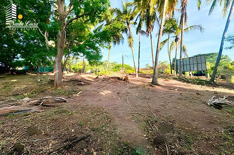  Terreno en Venta sobre Carretera Vieja a León - MG - Imagen 3