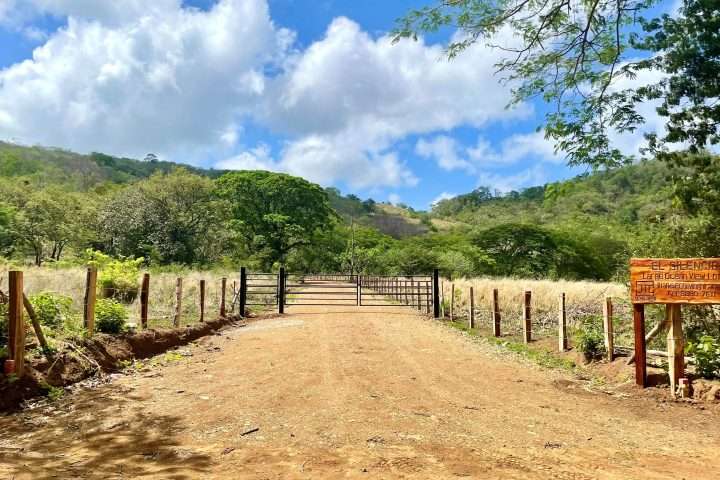 El Silencio | Ocean view building lot Ocean Views  Financiamiento 12 Meses - Imagen 13