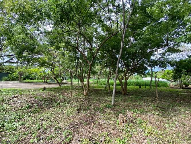 DG-TERRENO EN VENTA | RESIDENCIAL LOMAS DE MONTEVERDE - Imagen 8