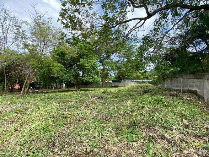 DG-TERRENO EN VENTA | RESIDENCIAL LOMAS DE MONTEVERDE - Imagen 5