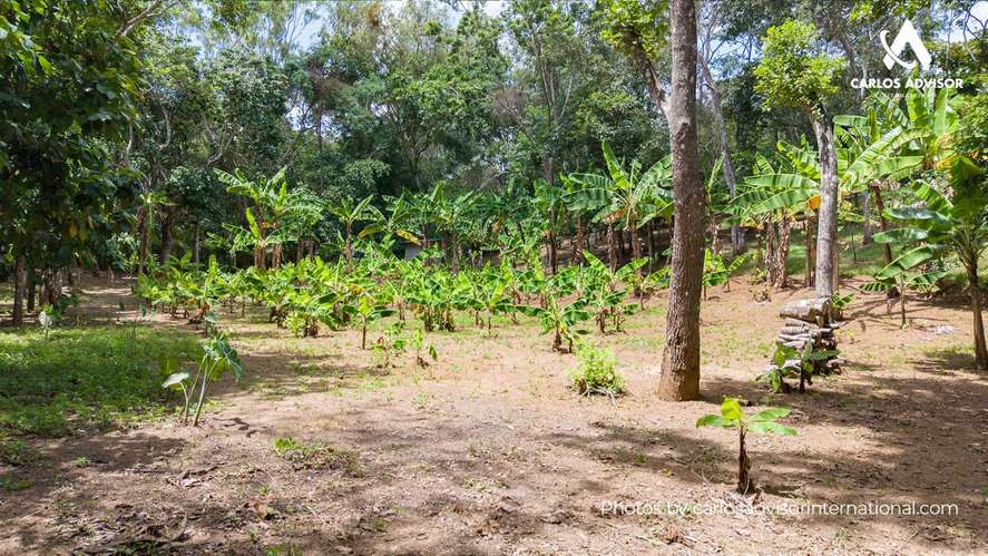 Terreno con Casa en San Juan de Oriente, Masaya - Imagen 13