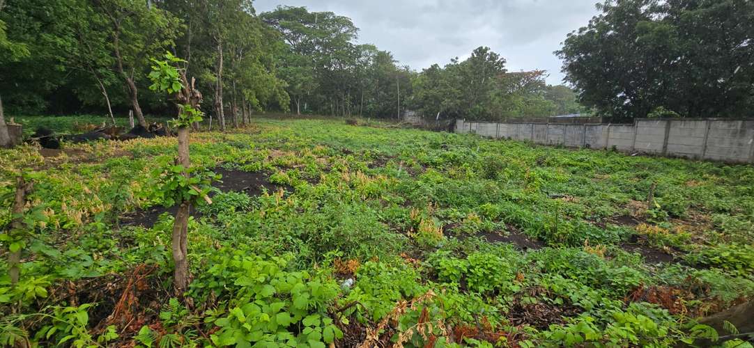 Venta de Terreno en Carretera Vieja a Leon  - Imagen 5