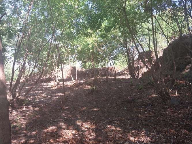 Venta de Terreno en Carretera Sur  - Imagen 2