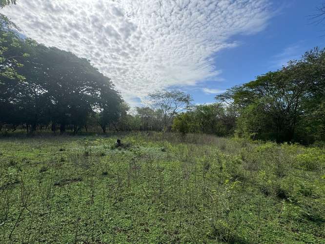 Venta de Terreno en Las Jaguitas  - Imagen 13