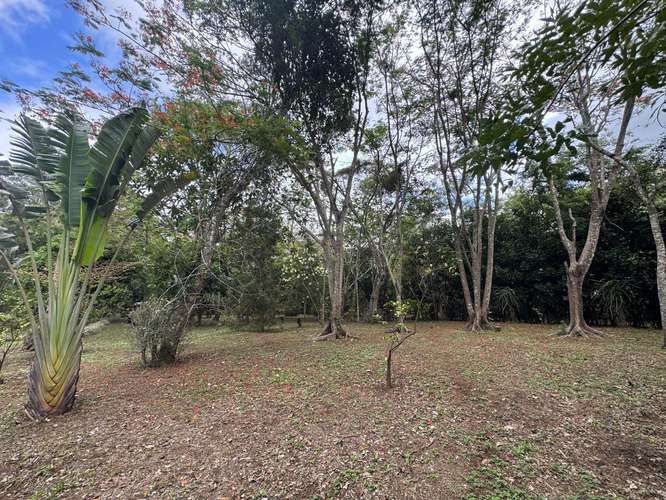 Venta de Terreno en Jinotepe  - Imagen 13