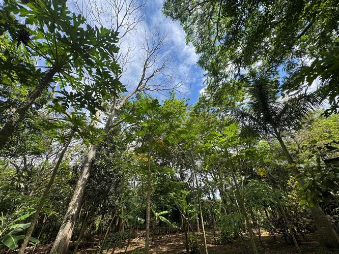 Venta de Terreno en Jinotepe  - Imagen 12