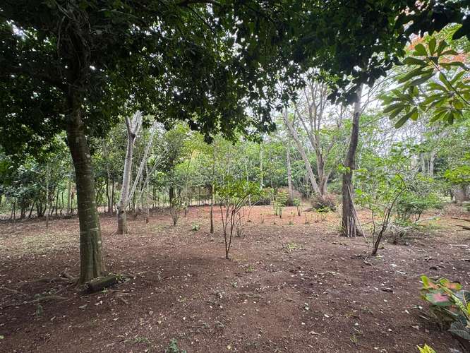 Venta de Terreno en Jinotepe  - Imagen 16