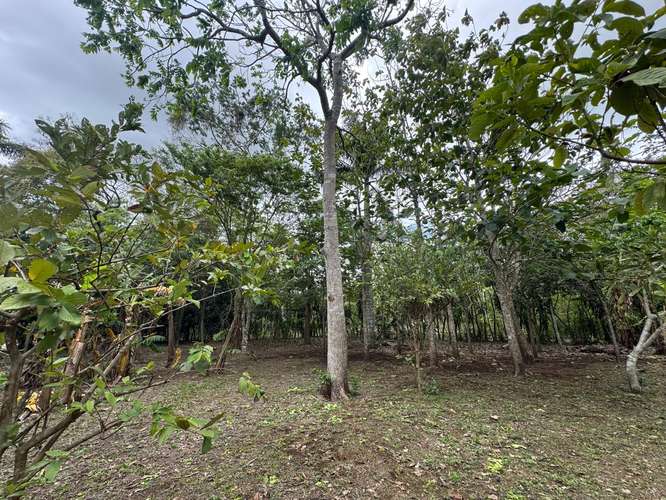 Venta de Terreno en Jinotepe  - Imagen 7