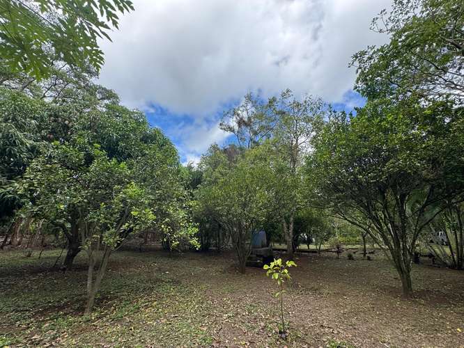 Venta de Terreno en Jinotepe  - Imagen 8