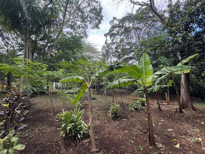 Venta de Terreno en Jinotepe  - Imagen 14