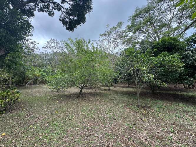 Venta de Terreno en Jinotepe  - Imagen 10