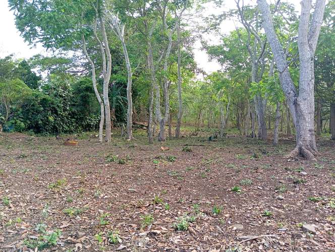 Venta de Terreno en Jinotepe  - Imagen 6