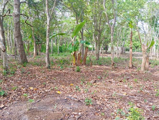 Venta de Terreno en Jinotepe  - Imagen 20