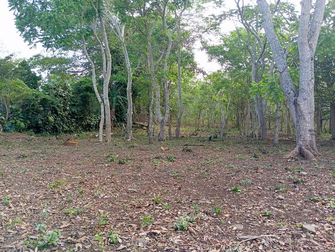 Venta de Terreno en Jinotepe  - Imagen 15