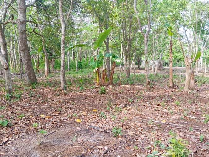 Venta de Terreno en Jinotepe  - Imagen 8