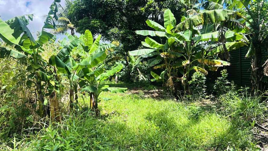 SE VENDE TERRENO DE 2 MANZANAS SOBRE CARRETERA JINOTEPE – NANDAIME, ml - Imagen 6