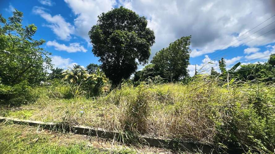 SE VENDE TERRENO DE 2 MANZANAS SOBRE CARRETERA JINOTEPE – NANDAIME, ml - Imagen 5