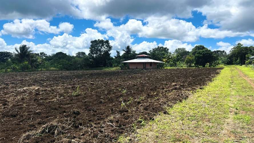 SE VENDE TERRENO DE 2 MANZANAS SOBRE CARRETERA JINOTEPE – NANDAIME, ml - Imagen 4
