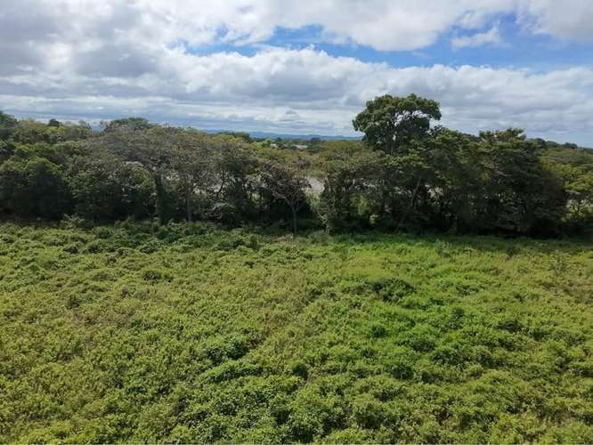 TERRENO EN VENTA DE 5.2 MANZANAS UBICADO EN CARRETERA JINOTEPE - NANDAIME, ml - Imagen 2