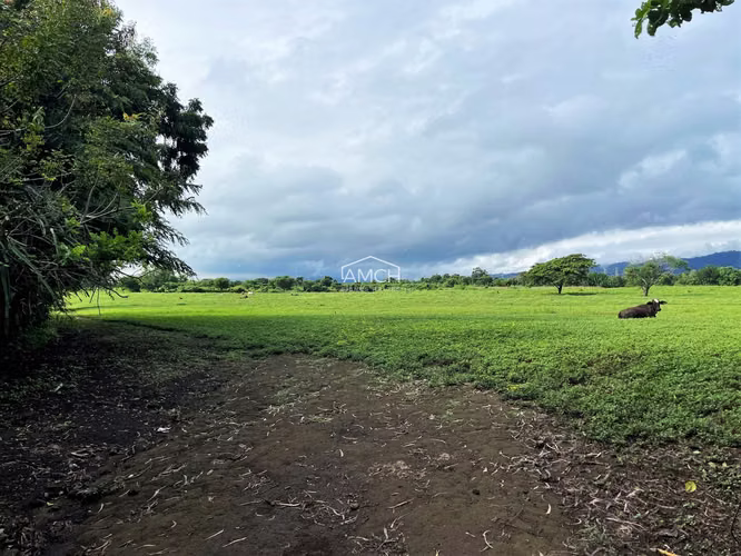 AM-Se Vende Terreno en Carretera Masaya para Desarrollo, Tiene dos Entradas una por Ticuantepe y la otra por Sierras Dor - Imagen 7