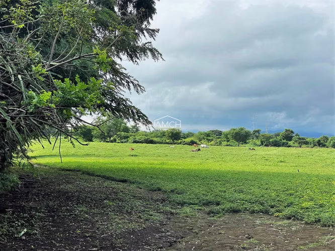 AM-Se Vende Terreno en Carretera Masaya para Desarrollo, Tiene dos Entradas una por Ticuantepe y la otra por Sierras Dor - Imagen 5