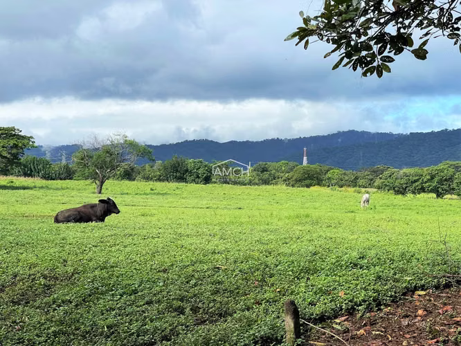 AM-Se Vende Terreno en Carretera Masaya para Desarrollo, Tiene dos Entradas una por Ticuantepe y la otra por Sierras Dor - Imagen 2