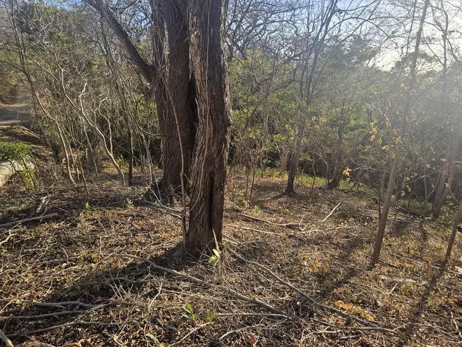 EC-Terreno en Venta Cerca de las Playas Marsella, Maderas y Majahual - Imagen 16
