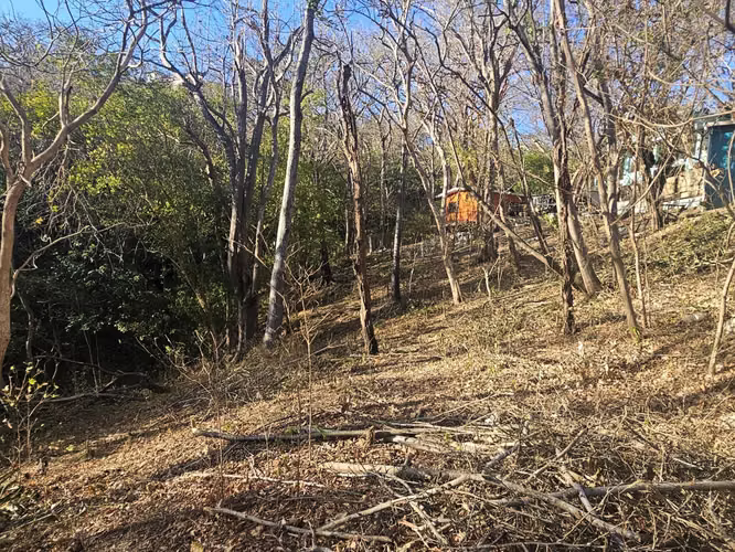 EC-Terreno en Venta Cerca de las Playas Marsella, Maderas y Majahual - Imagen 15