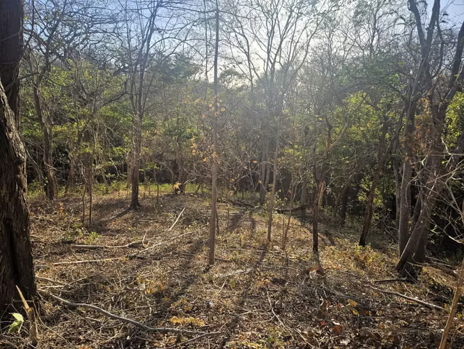 EC-Terreno en Venta Cerca de las Playas Marsella, Maderas y Majahual - Imagen 17