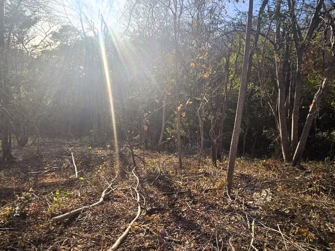 EC-Terreno en Venta Cerca de las Playas Marsella, Maderas y Majahual - Imagen 11