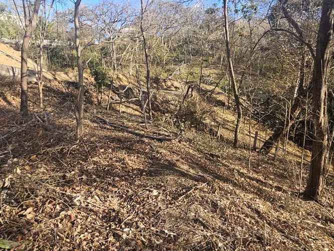 EC-Terreno en Venta Cerca de las Playas Marsella, Maderas y Majahual - Imagen 8