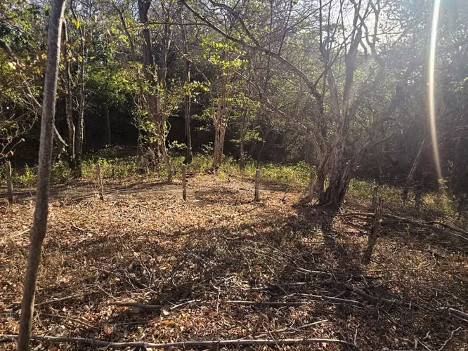 EC-Terreno en Venta Cerca de las Playas Marsella, Maderas y Majahual - Imagen 10