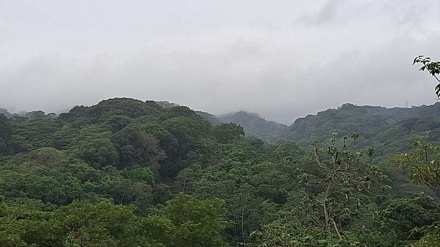 OPORTUNIDAD DE INVERSION EN UNA DE LAS ZONAS MÁS EXCLUSIVAS DE SANTO DOMINGO - Imagen 16