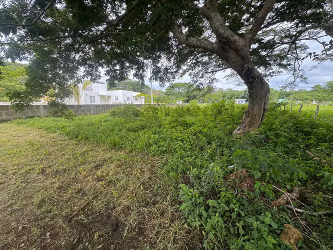 Las Marías: lote de 500 m² cerca de Playa Marsella – US$15,000 - Imagen 7