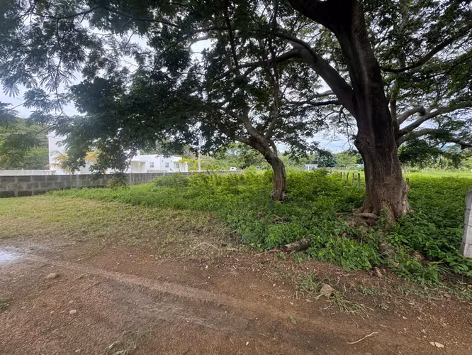 Las Marías: lote de 500 m² cerca de Playa Marsella – US$15,000 - Imagen 3
