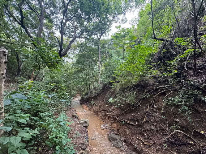 Oasis off-grid con quebrada y pozo cerca de Playa Hermosa – 4.5 manzanas - Imagen 15