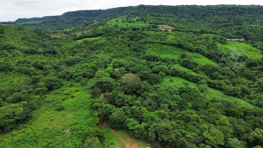 Oasis off-grid con quebrada y pozo cerca de Playa Hermosa – 4.5 manzanas - Imagen 3